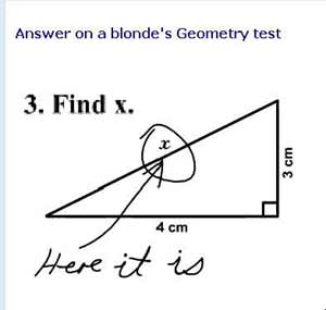 blonde on math test
