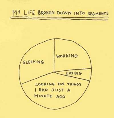 My life in segments