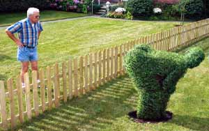 Bush trimmed to upset neighbor