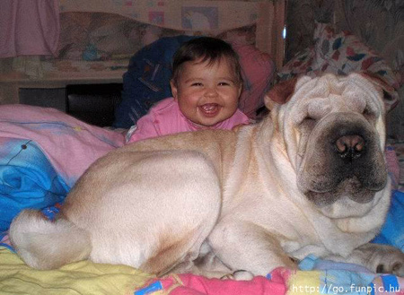 Baby with big dog