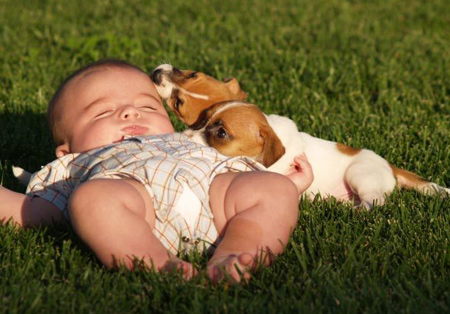 Baby with puppies