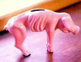 My piggybank after buying gas!