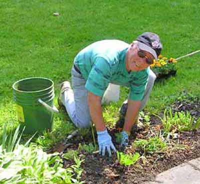 Hans Kopp working in the German Cultural Garden in Cleveland Ohio