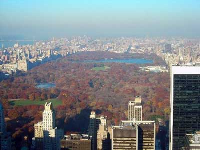 Central Park view from above