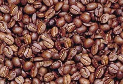 Man hidden in coffee beans
