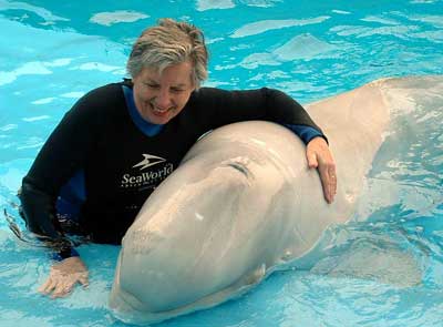 Beluga Whale and Amy Kenneley