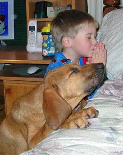 Dog and young boy praying