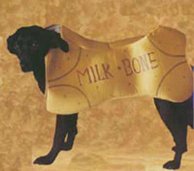 Dog dressed as milkbone