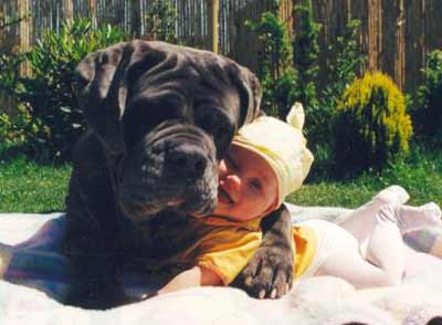 dog and baby