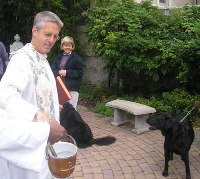 Father Chris Weber about to bless black lab Hogan