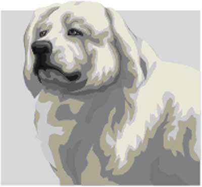 Great Pyrenees