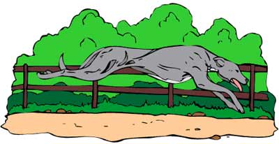 Greyhound dog clipart