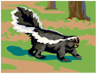 Skunk