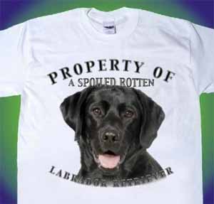 Labrador Retriever shirt