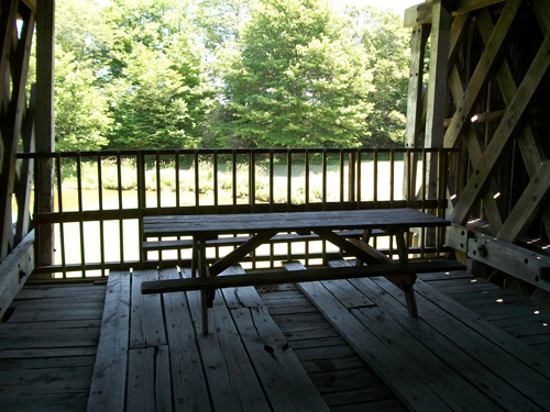 Graham Road picnic bench