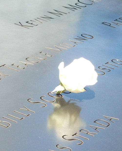 Flower at 9-11 memorial