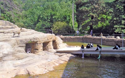 Cleveland Zoo Monkey Island