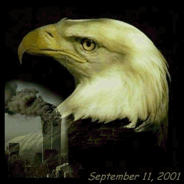 US Bald eagle crying