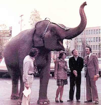 Morning Exchange's Fred Griffith, Joel Rose and Liz Richards with an elephant and trainer from the Ringling Brothers Barnum & Bailey circus in the early 1970's