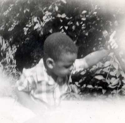Young Harry Davis in garden at Grandma's House