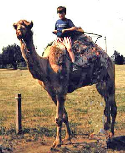 Craig Zurcher on Camel
